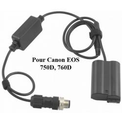Câble Prima Luce Lab compatible EAGLE - Canon EOS