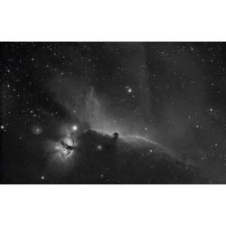 Filtre Astronomik H-Alpha XL CCD 12nm pour Nikon