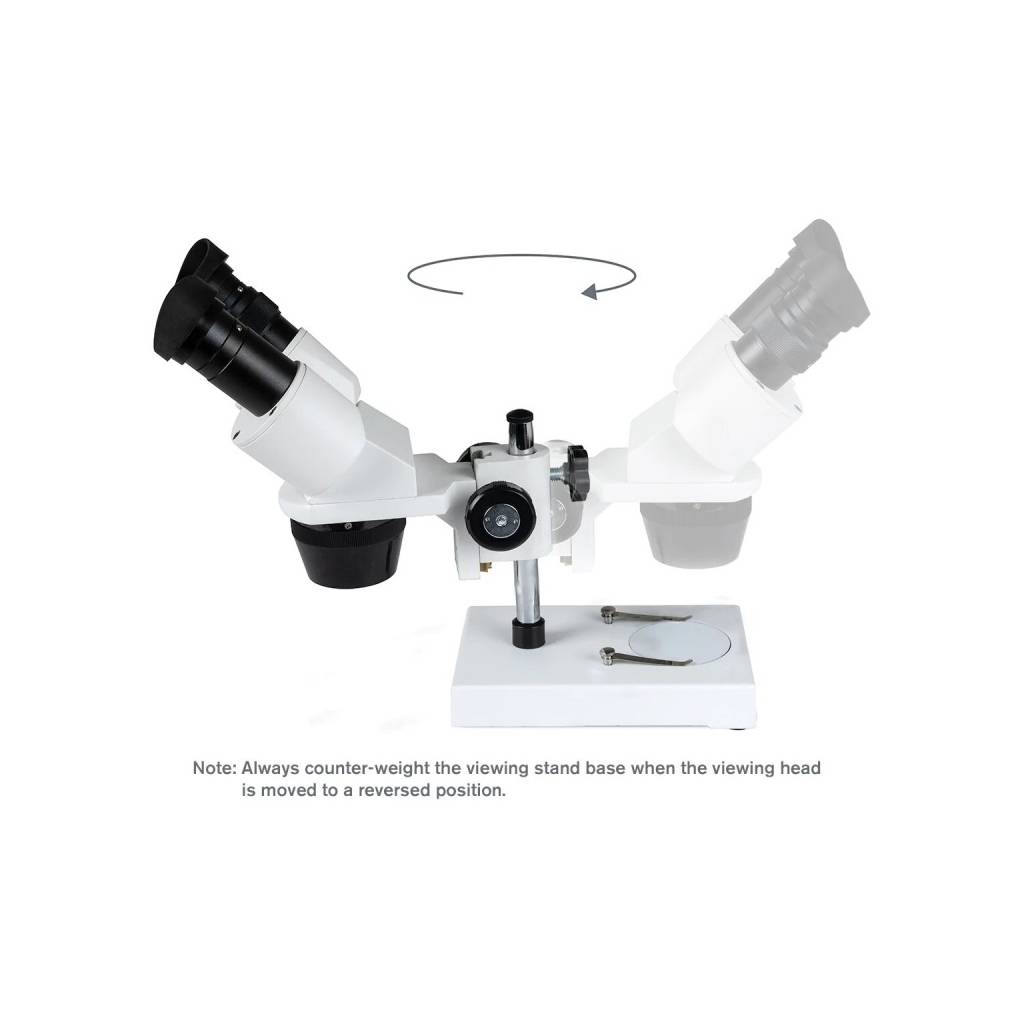 Loupe binoculaire Celestron S1030N