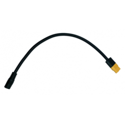 Câble 0.3m USB-C mâle vers prise jack femelle 2,1 mm Pegasus Astro