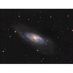 Camera CCD Starlight Xpress Trius-H674 couleur