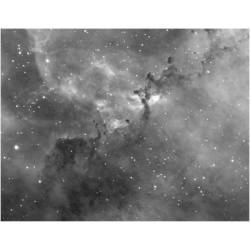 Camera CCD Starlight Xpress Trius-SX694 monochrome
