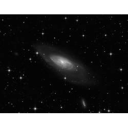 Monture 10Micron GM1000 HPS