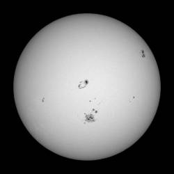 Feuille Filtre solaire Baader AstroSolar ClearWhite ASSF de 80mm pour longue-vue - 2423037