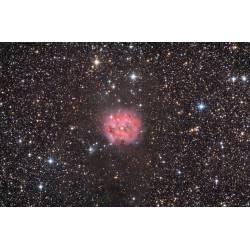 Télescope newton Sky-Watcher 250/1200 sur AZ EQ6 GOTO