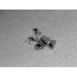 Feuille Astrosolar Baader format 100x50cm photo